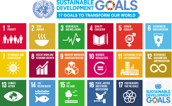 Sustainable development Goal 1: No poverty