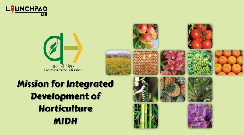 MIDH- Mission for Integrated Development of Horticulture