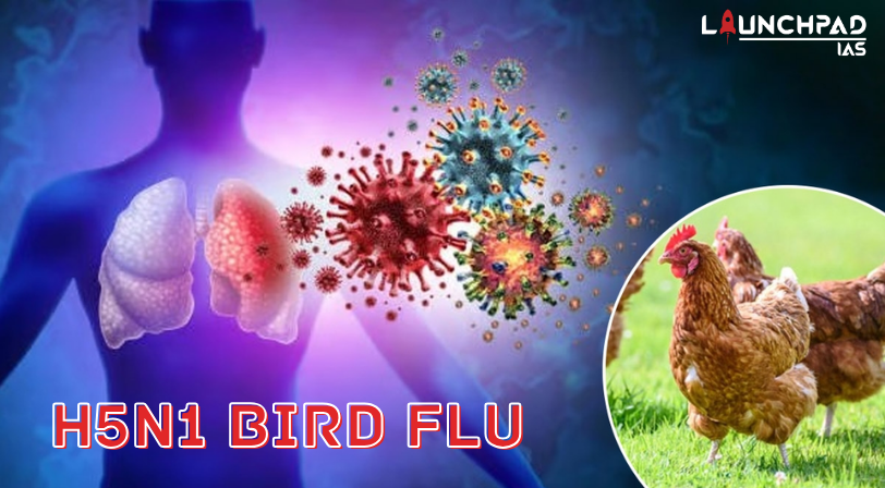 H5N1 Bird flu