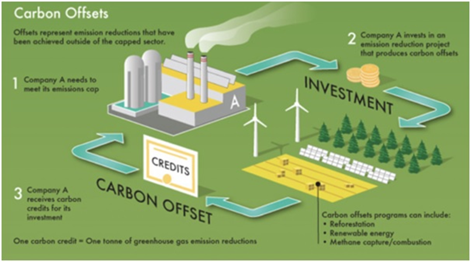 Carbon Credit Programme
