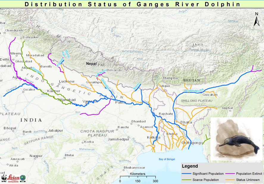 Distribution of Ganges River Dolphin
