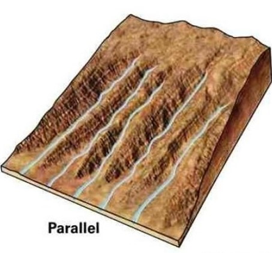 Parallel drainage pattern
