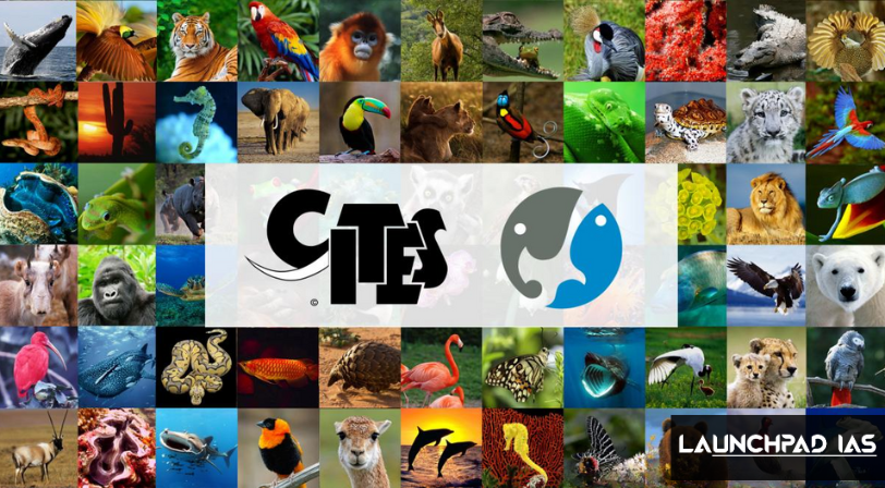 CITES - Convention on International Trade in Endangered Species of Wild Fauna and Flora