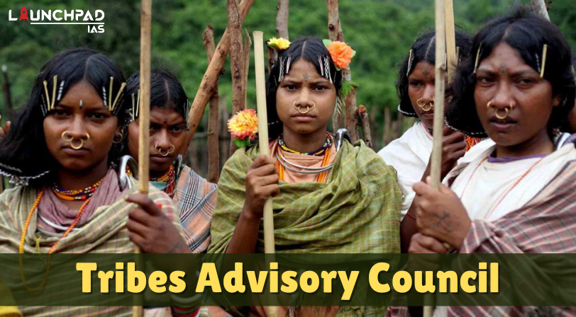 Tribes Advisory Council