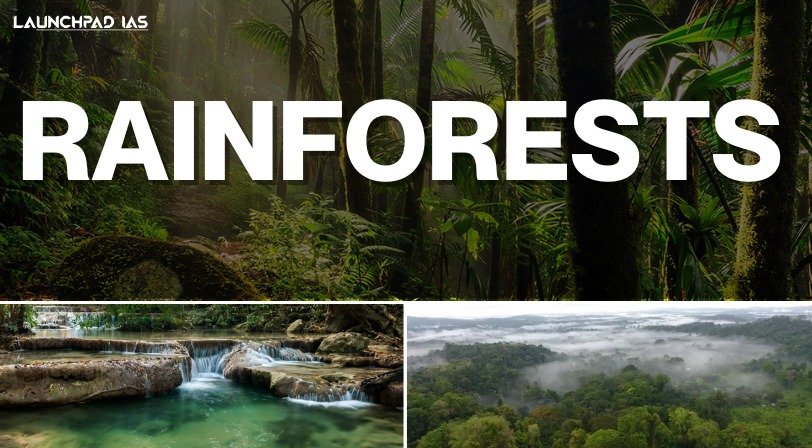 Rainforests