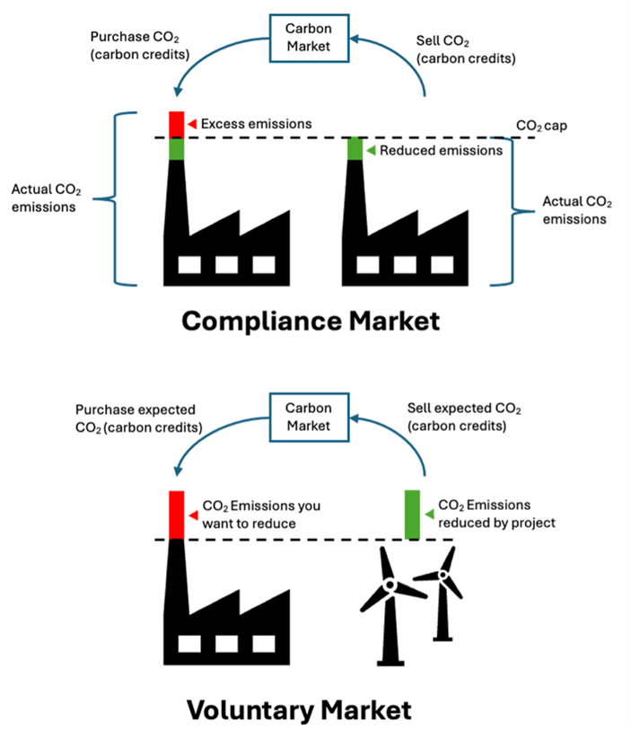 Carbon Markets
