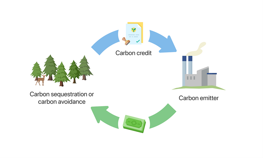 Carbon Credit