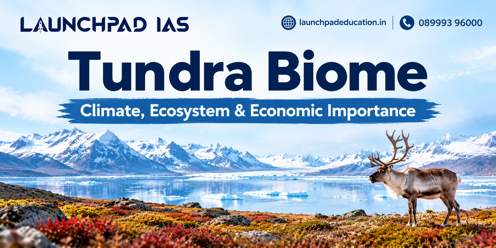 Tundra Biome